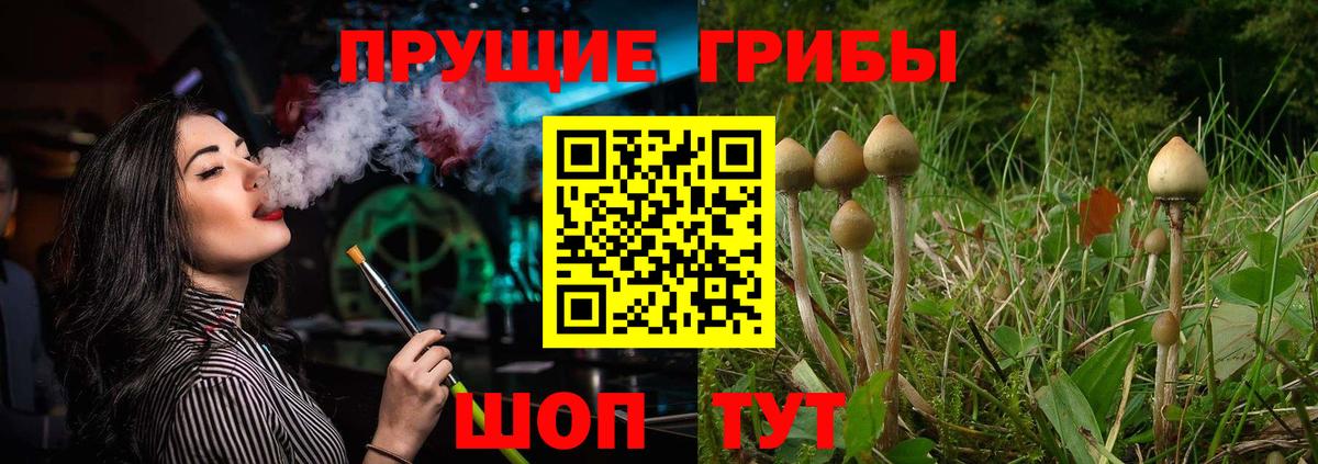Галлюциногенные грибы прущие грибы Слободской