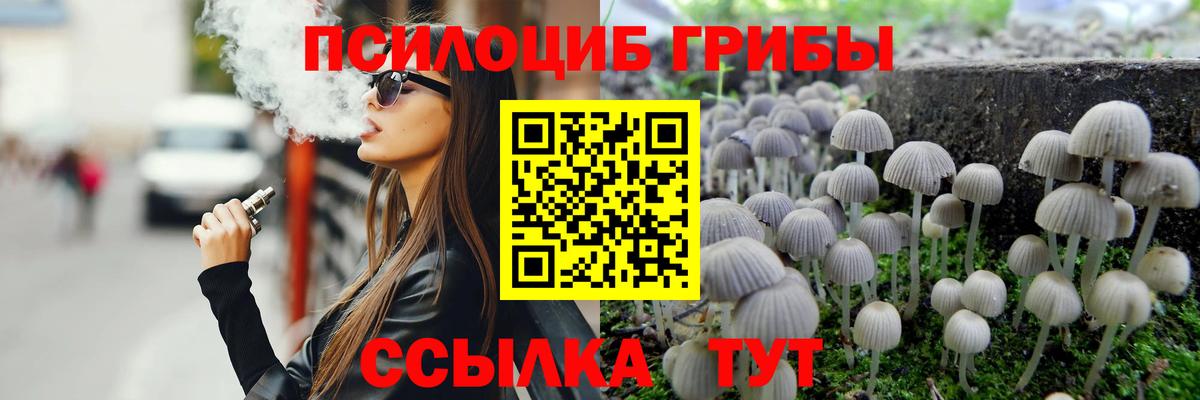 Галлюциногенные грибы GOLDEN TEACHER  наркота  Слободской  Вход с VPN 